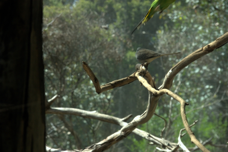 crw_3735.jpg