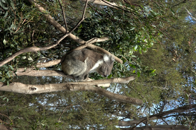 crw_3741.jpg