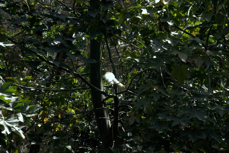 crw_3748.jpg