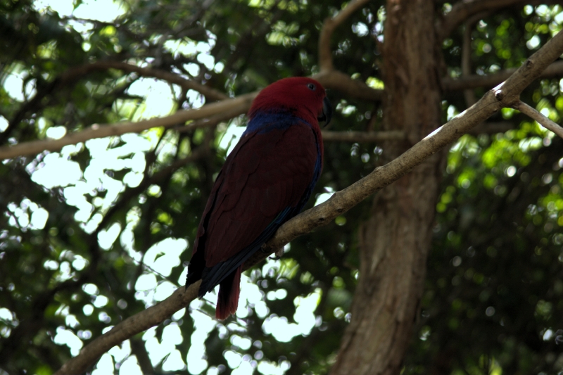 crw_3750.jpg