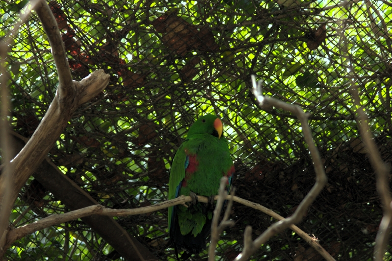 crw_3751.jpg