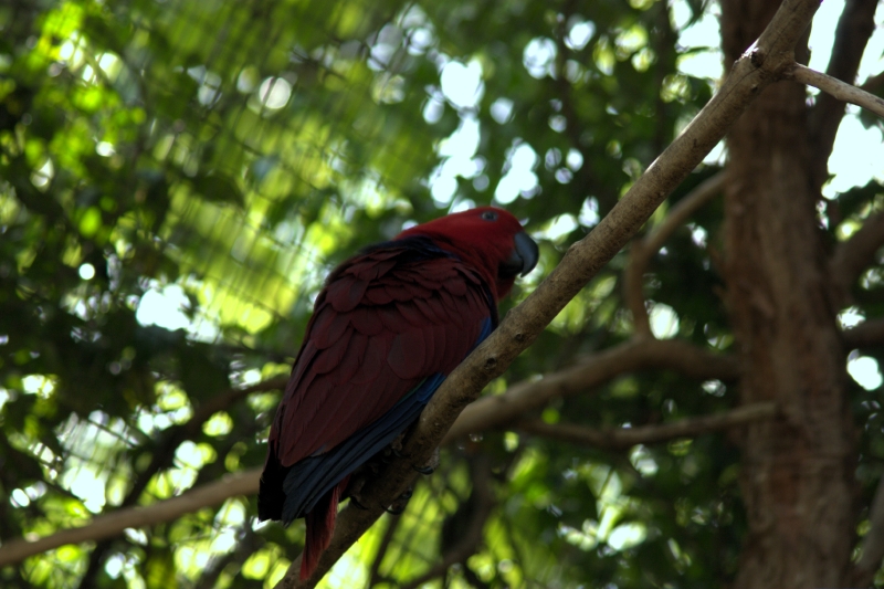 crw_3752.jpg