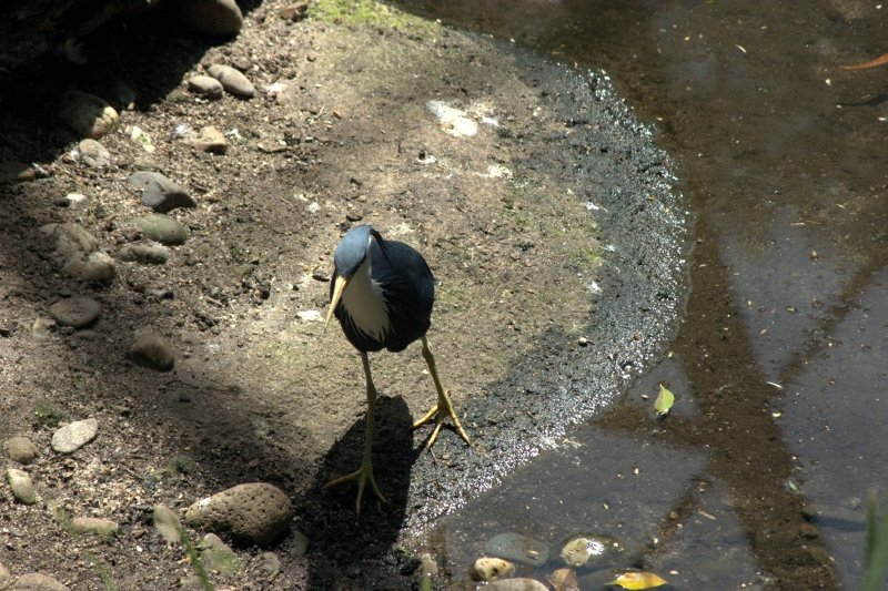 crw_3754.jpg