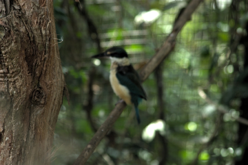 crw_3755.jpg