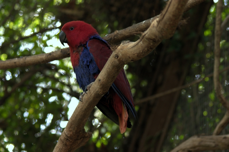 crw_3756.jpg
