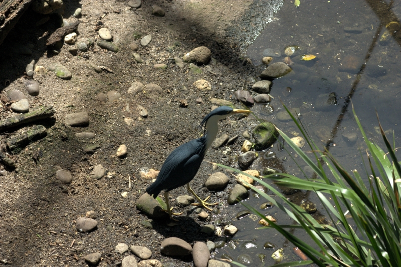 crw_3757.jpg