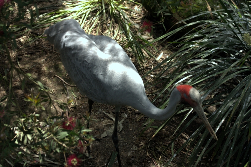 crw_3759.jpg