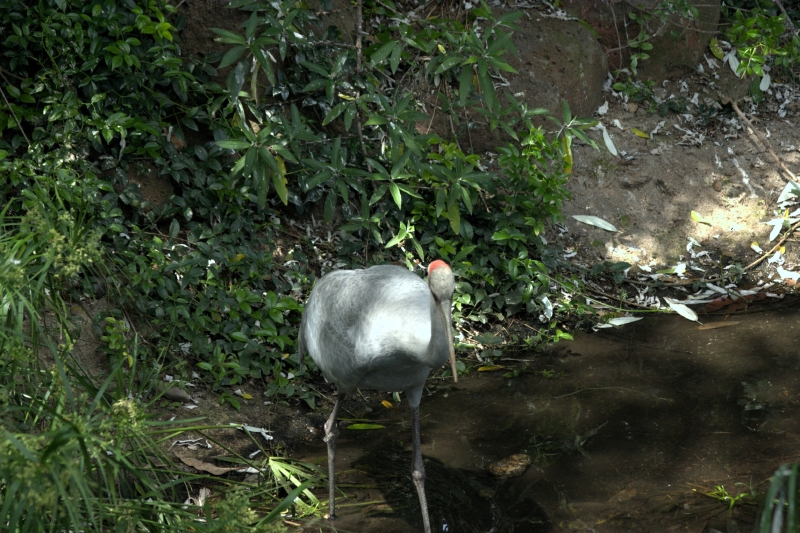 crw_3760.jpg