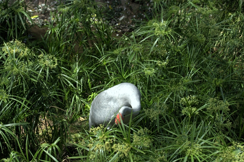 crw_3761.jpg