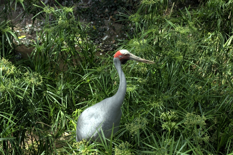 crw_3762.jpg