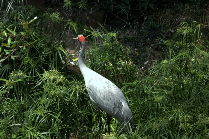 crw_3763.jpg