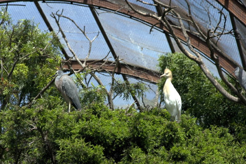 crw_3765.jpg