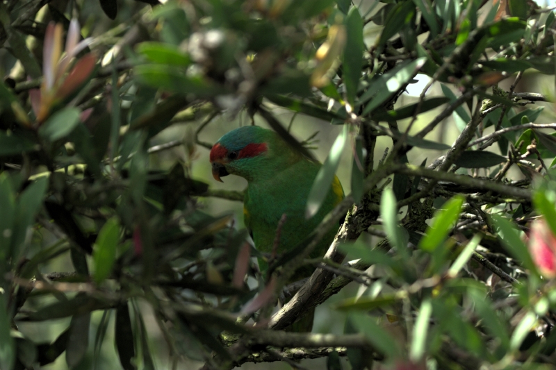 crw_3767.jpg