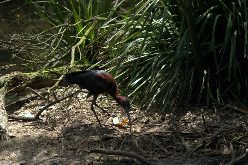 crw_3768.jpg