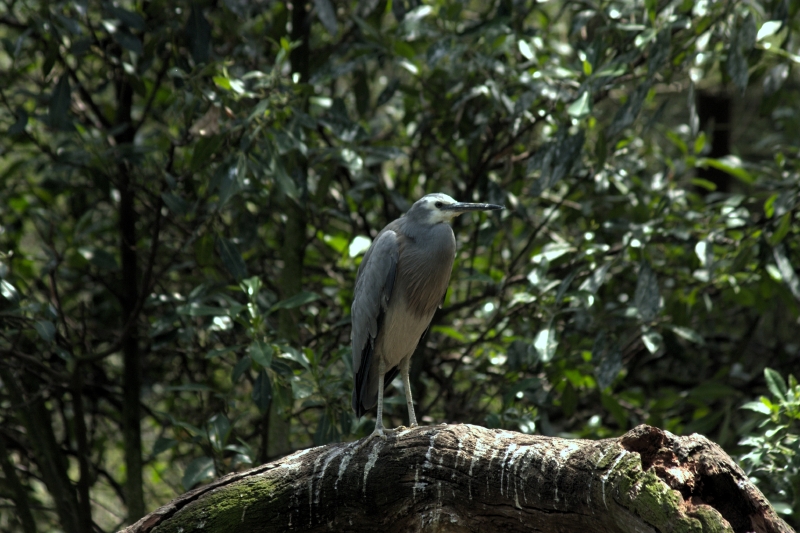 crw_3771.jpg