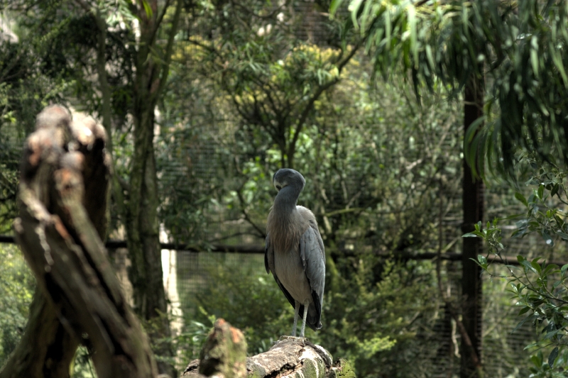 crw_3773.jpg