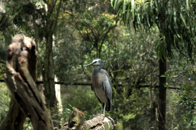 crw_3774.jpg