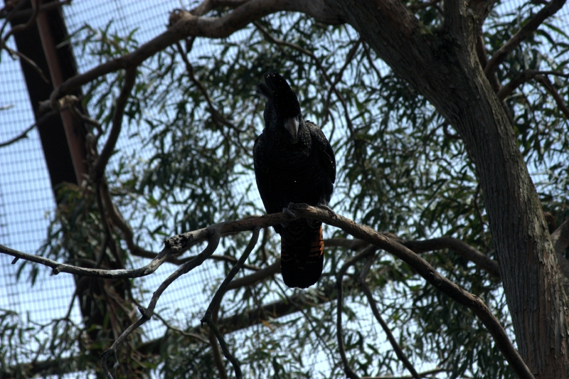 crw_3776.jpg