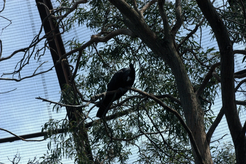 crw_3777.jpg