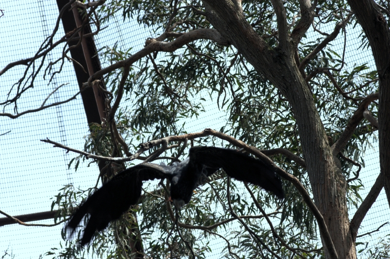 crw_3778.jpg