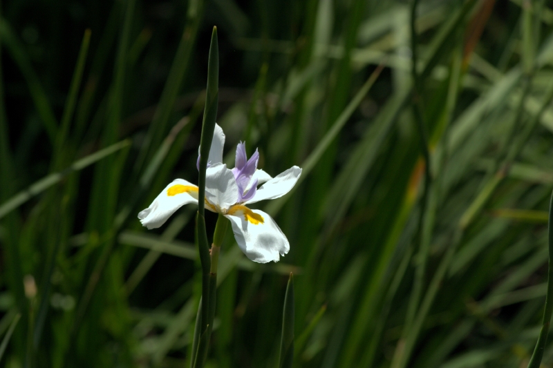 crw_3781.jpg