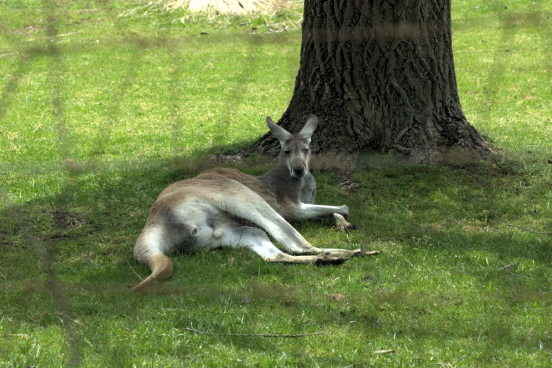 crw_3782.jpg