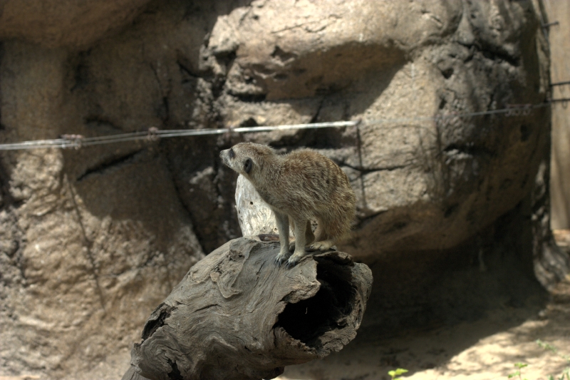 crw_3787.jpg