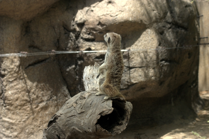 crw_3788.jpg
