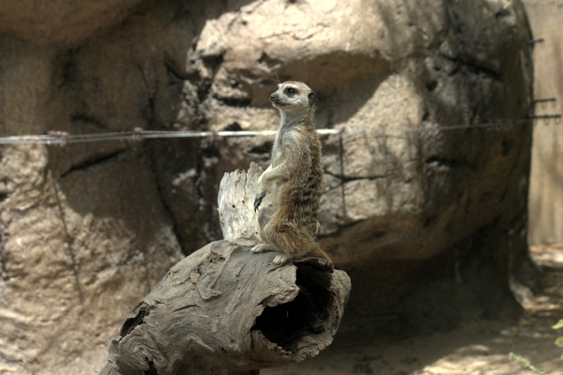 crw_3789.jpg
