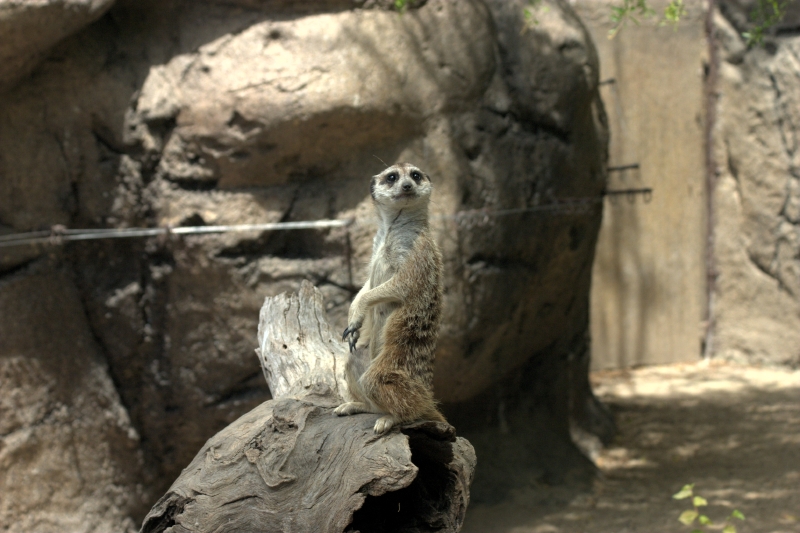 crw_3790.jpg