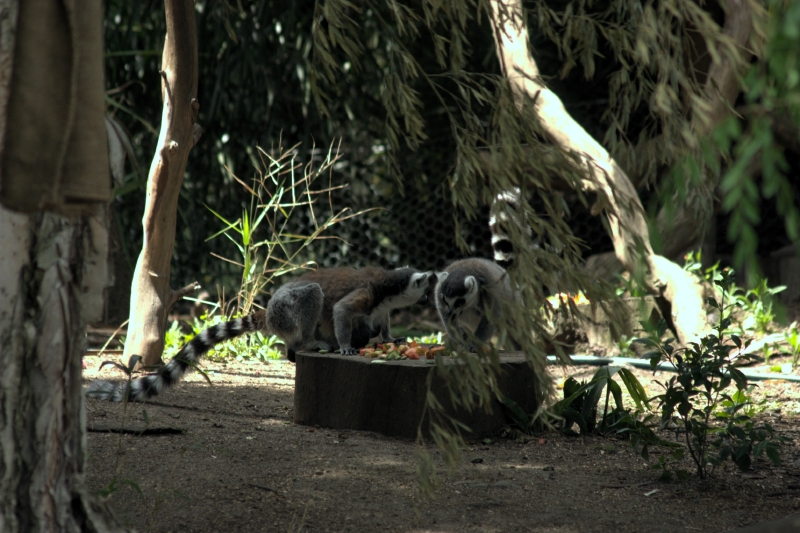 crw_3798.jpg