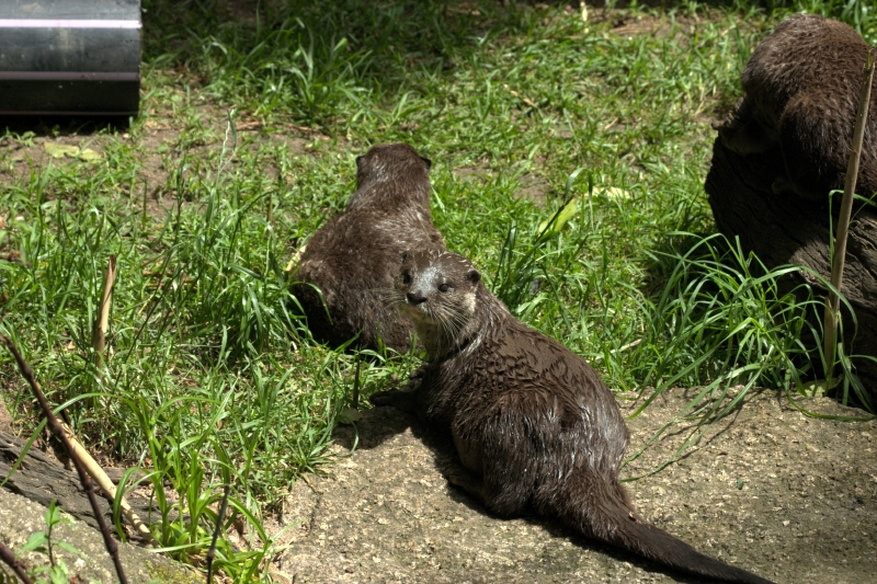 crw_3806.jpg