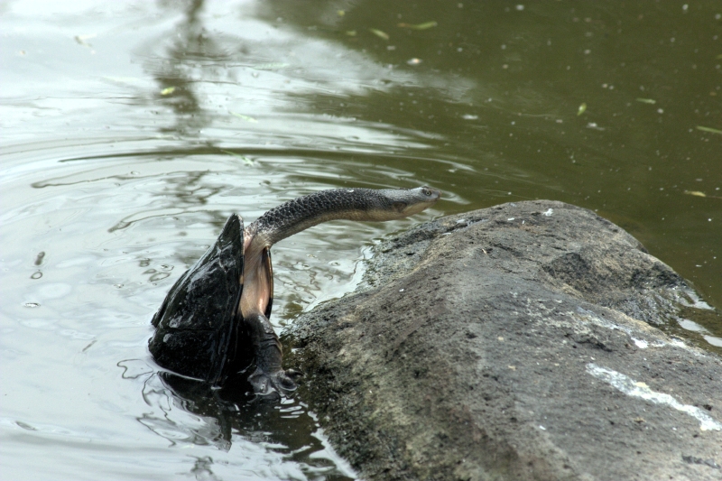 crw_3808.jpg