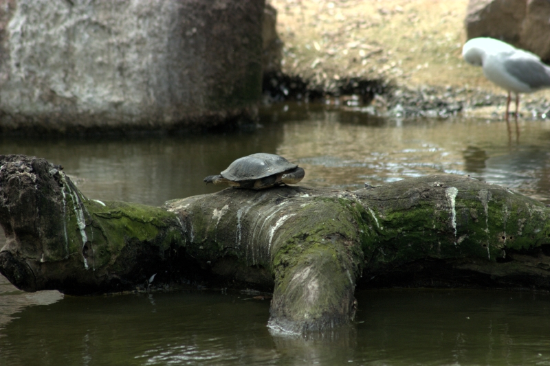 crw_3811.jpg