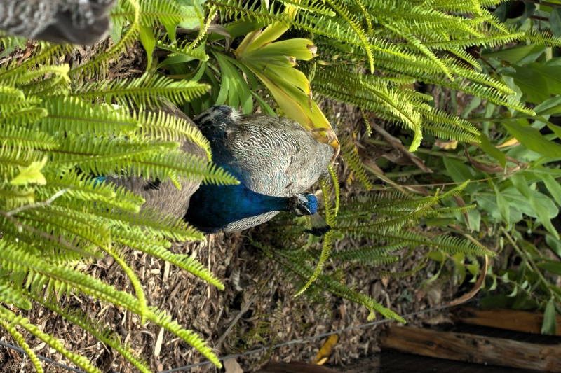 crw_3813.jpg