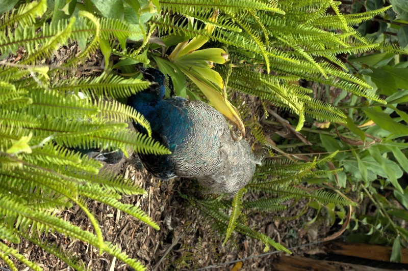 crw_3814.jpg