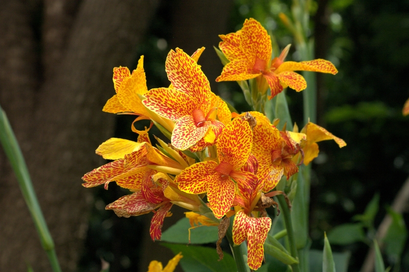 crw_3815.jpg