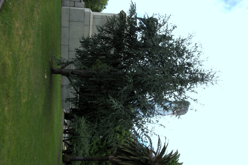 crw_3826.jpg