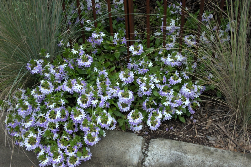 crw_3828.jpg