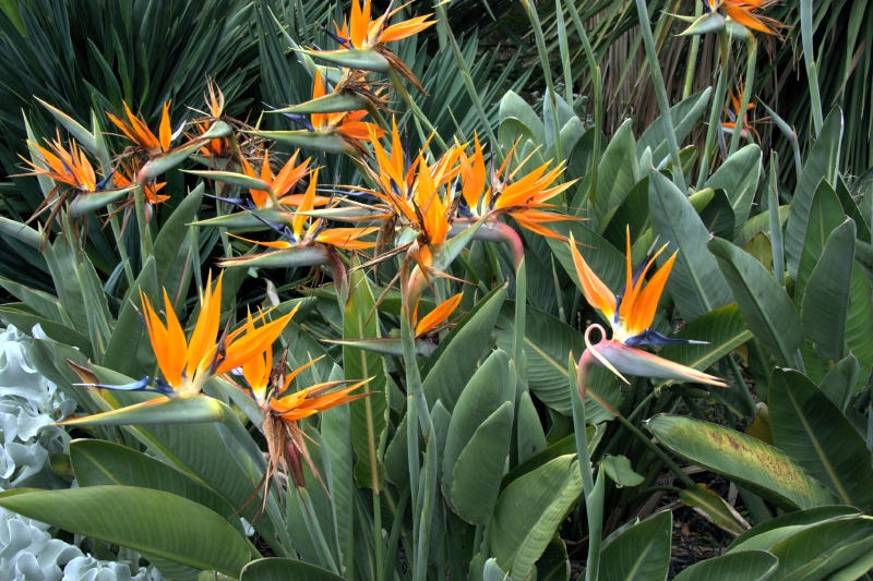 crw_3829.jpg