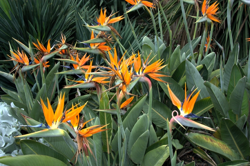 crw_3830.jpg