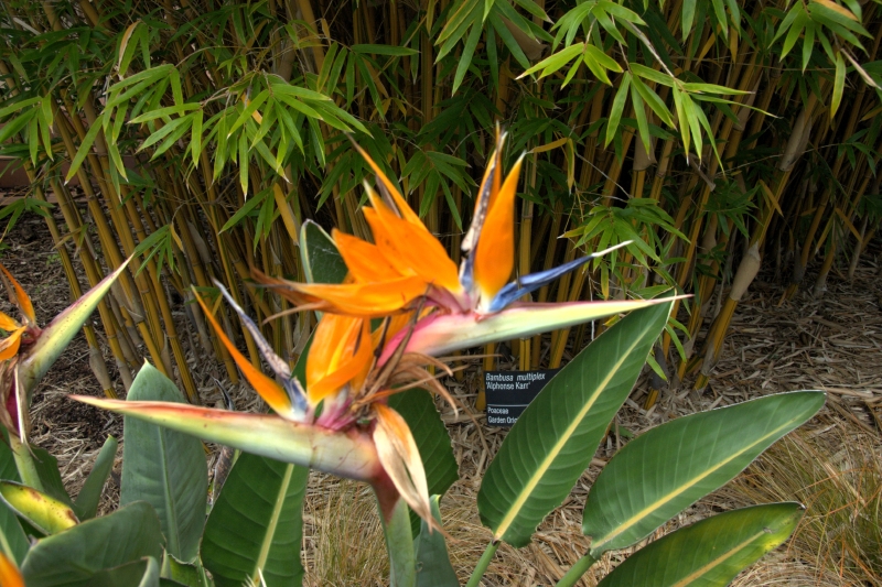 crw_3831.jpg