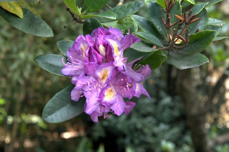 crw_3834.jpg