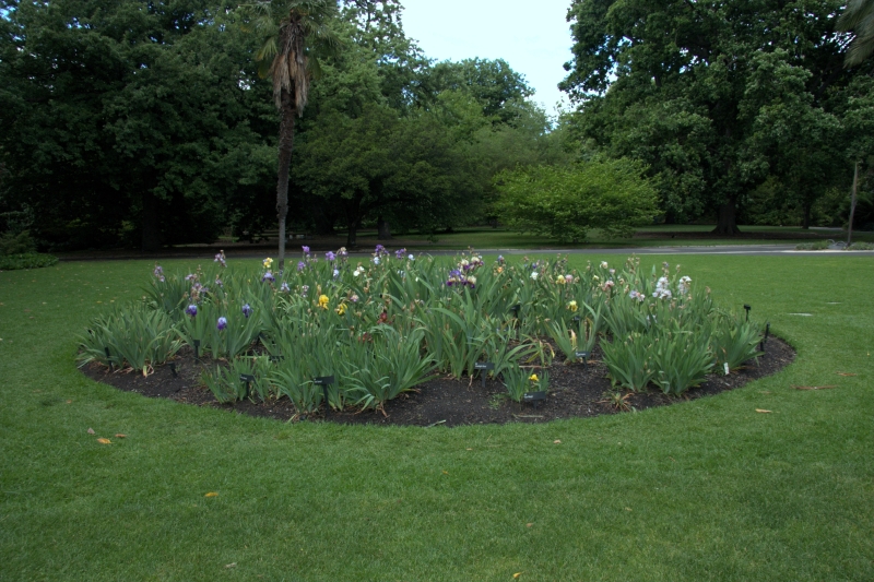 crw_3842.jpg