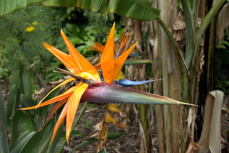 crw_3844.jpg