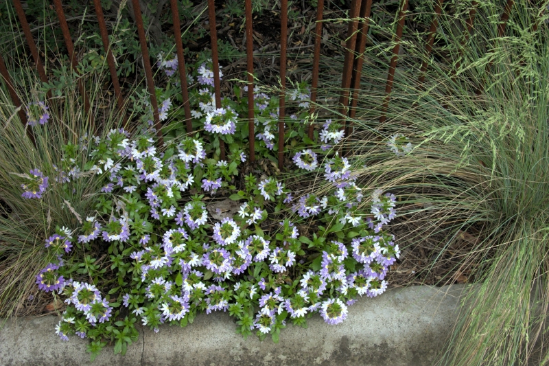 crw_3846.jpg