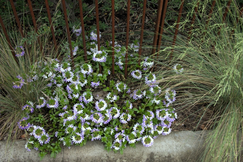 crw_3847.jpg