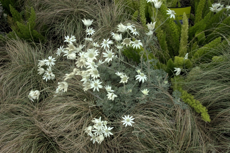 crw_3848.jpg