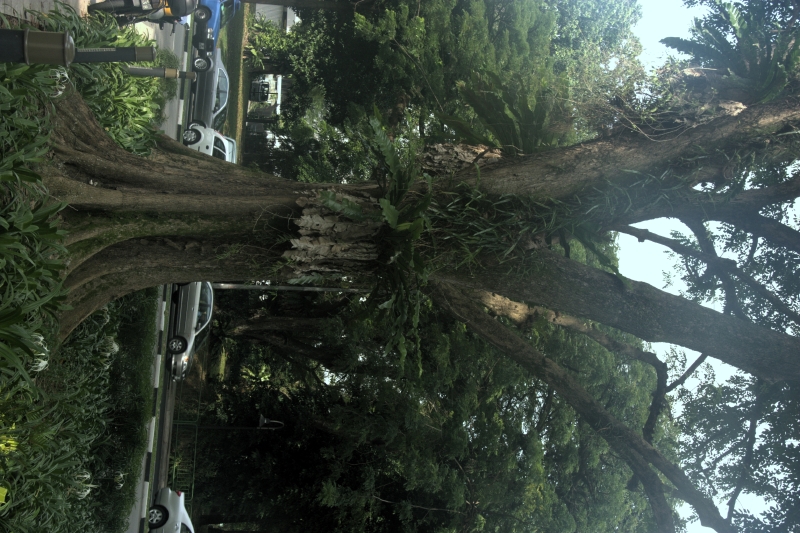 crw_3861.jpg