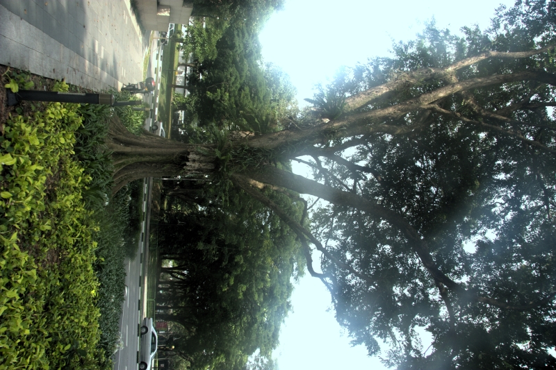 crw_3862.jpg